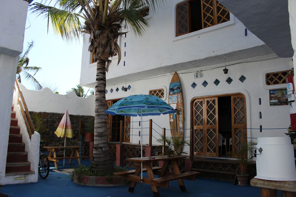 galapagos penguin hostel