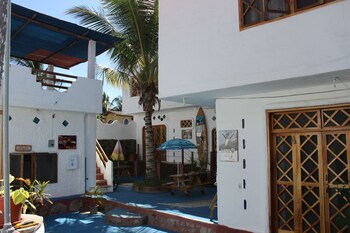 galapagos penguin hostel