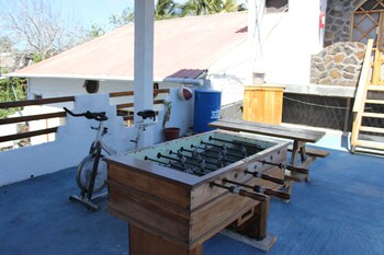 galapagos penguin hostel