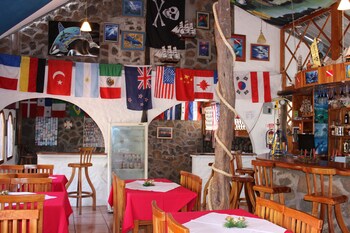 galapagos penguin hostel