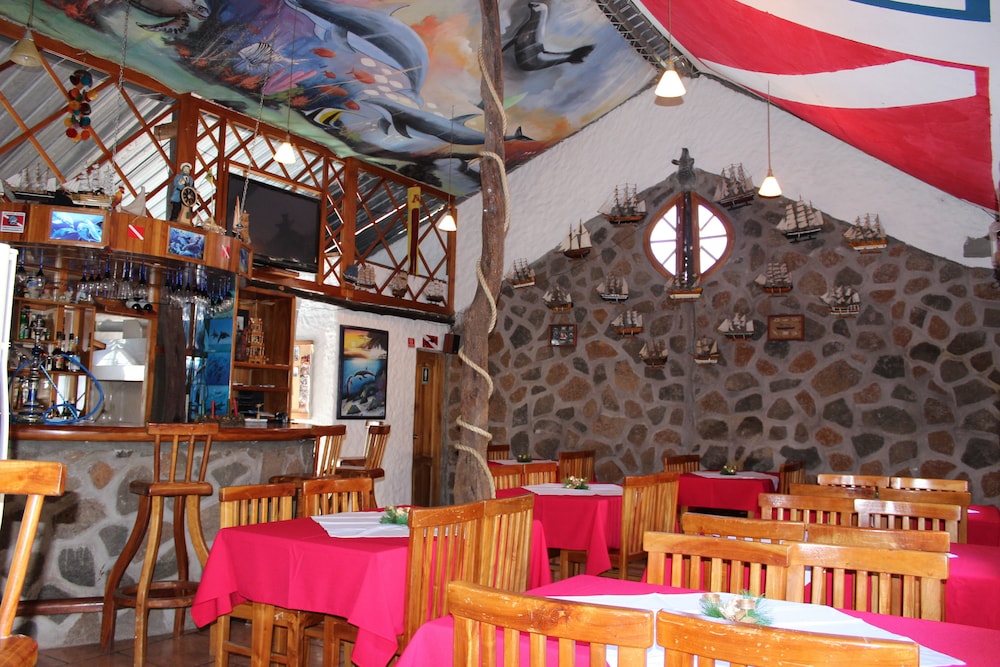 galapagos penguin hostel