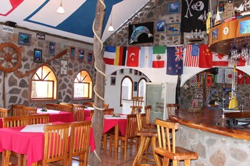 galapagos penguin hostel