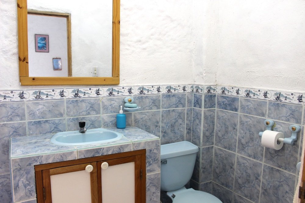 galapagos penguin hostel