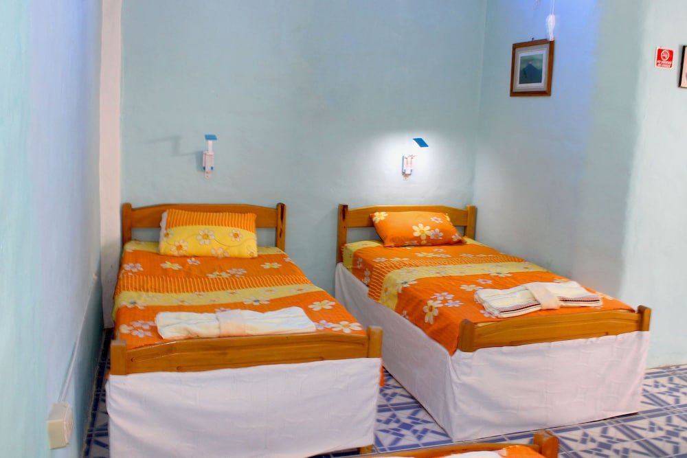 galapagos penguin hostel