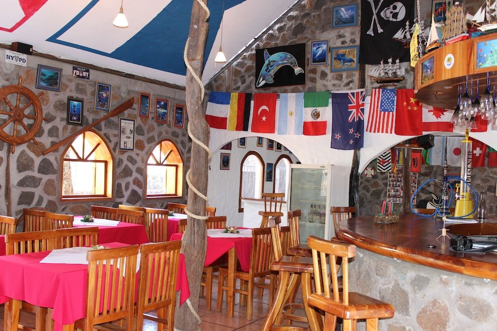 galapagos penguin hostel