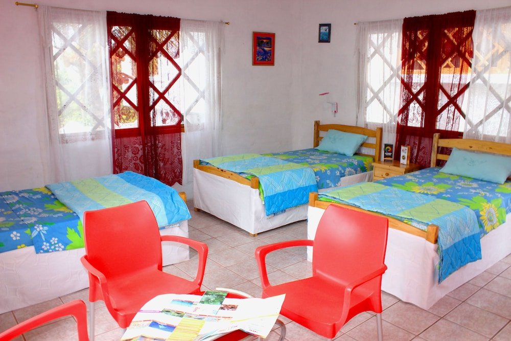 galapagos penguin hostel