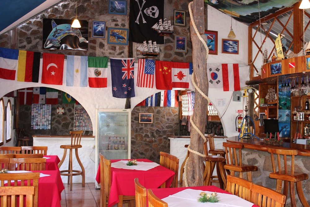 galapagos penguin hostel