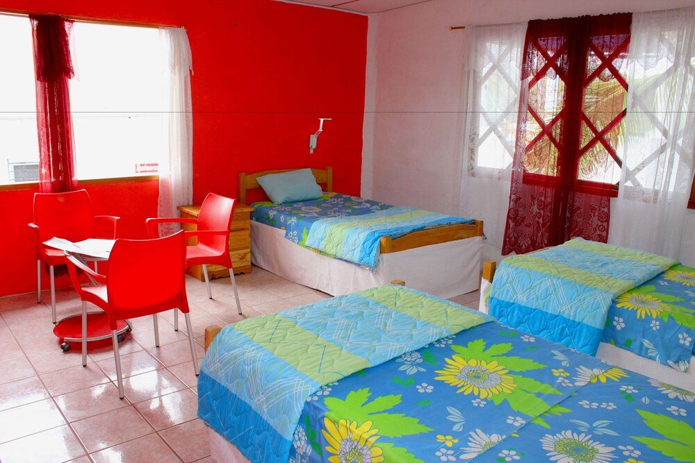 galapagos penguin hostel