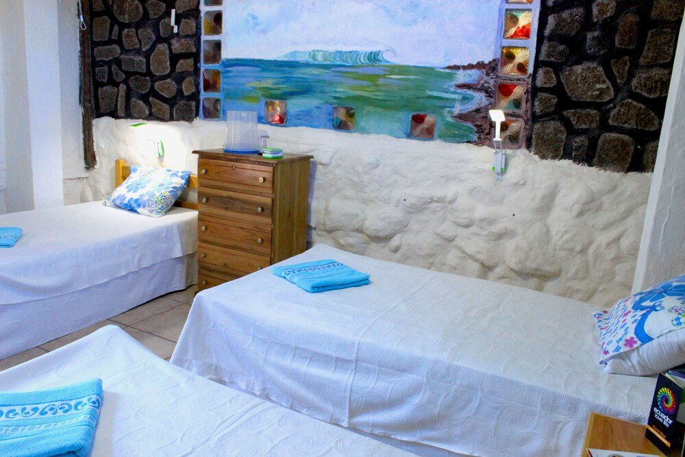 galapagos penguin hostel