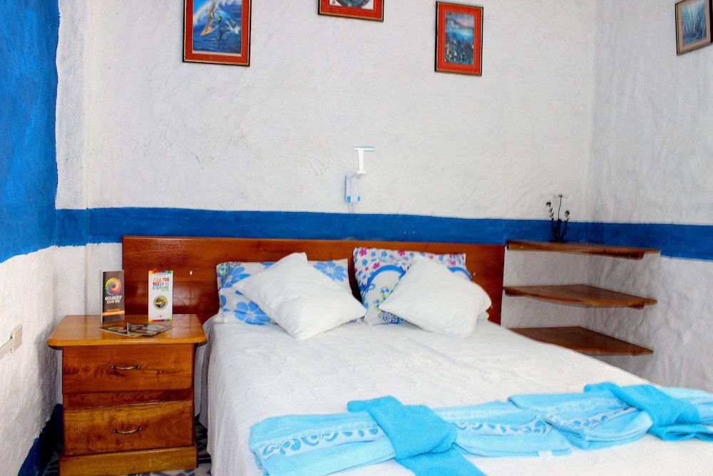 galapagos penguin hostel