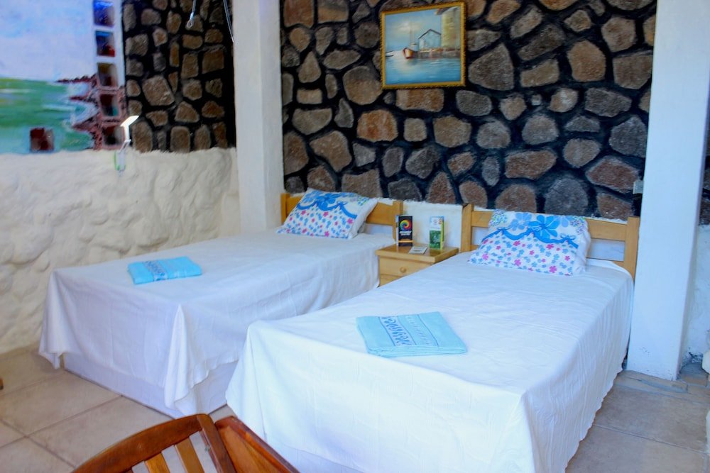 galapagos penguin hostel