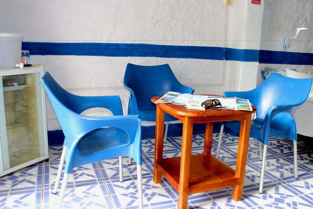 galapagos penguin hostel