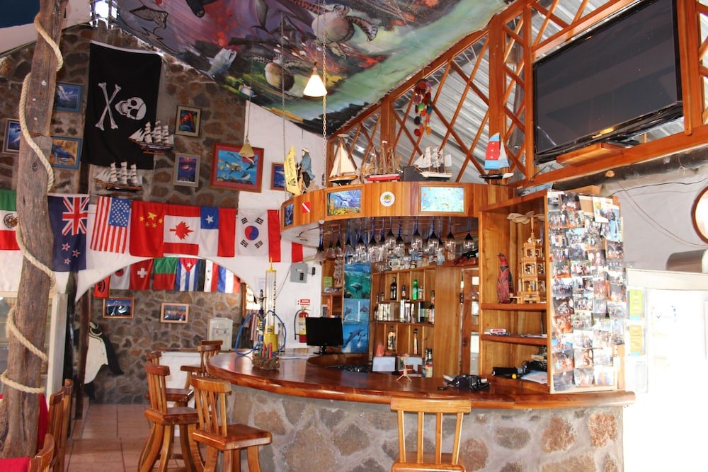 galapagos penguin hostel