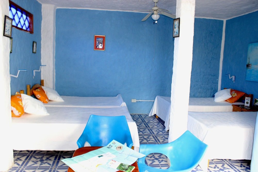 galapagos penguin hostel