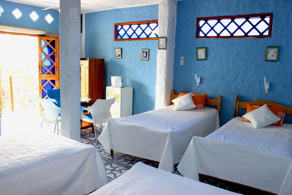 galapagos penguin hostel