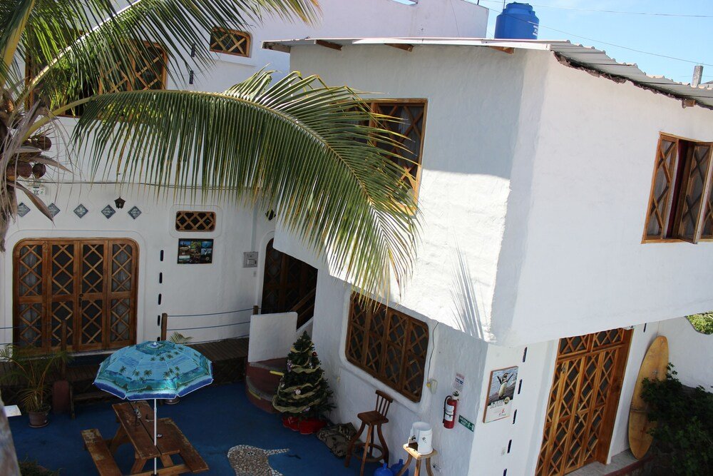 galapagos penguin hostel