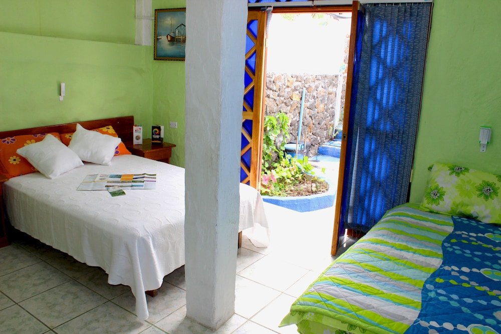 galapagos penguin hostel