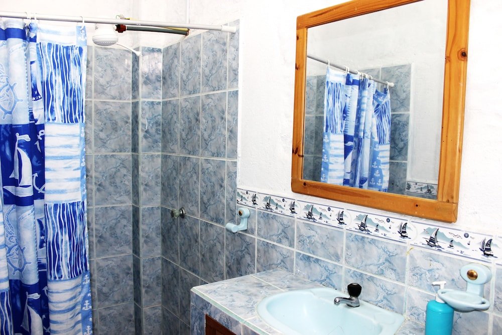 galapagos penguin hostel