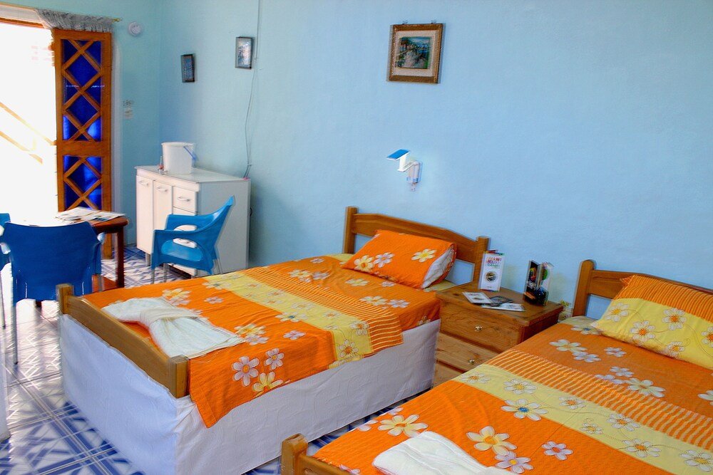 galapagos penguin hostel