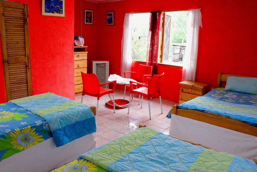 galapagos penguin hostel