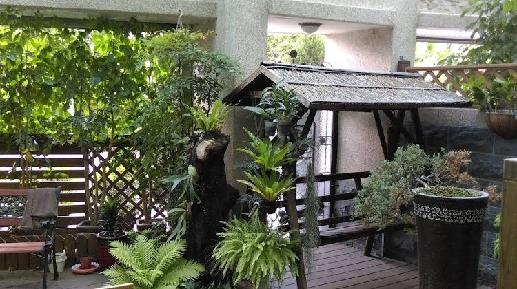 qing jing ze bed and breakfast