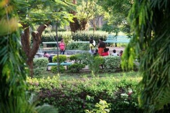 kilimanjaro safaris lodge
