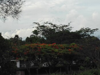 kilimanjaro safaris lodge