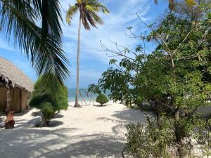 Moonshine Uroa Boutique Hotel,Kati>>Chwaka,3 star