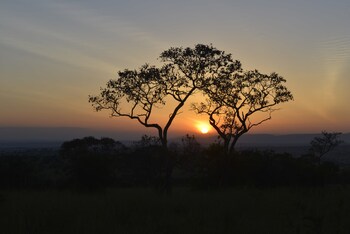 kananga special tented camp