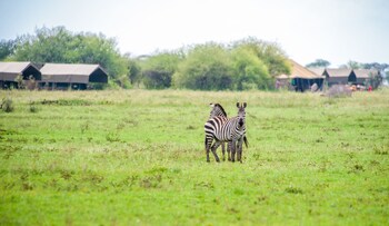 kananga special tented camp
