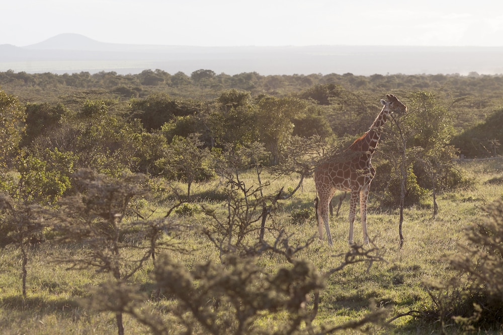 kananga special tented camp