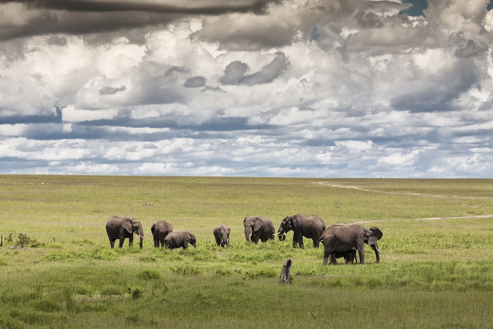 kananga special tented camp