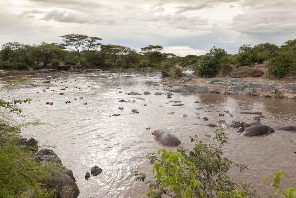 kananga special tented camp