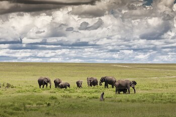 kananga special tented camp