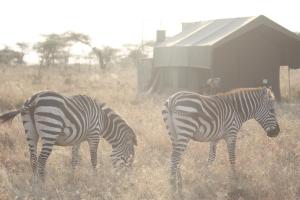 kananga special tented camp