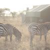 kananga special tented camp