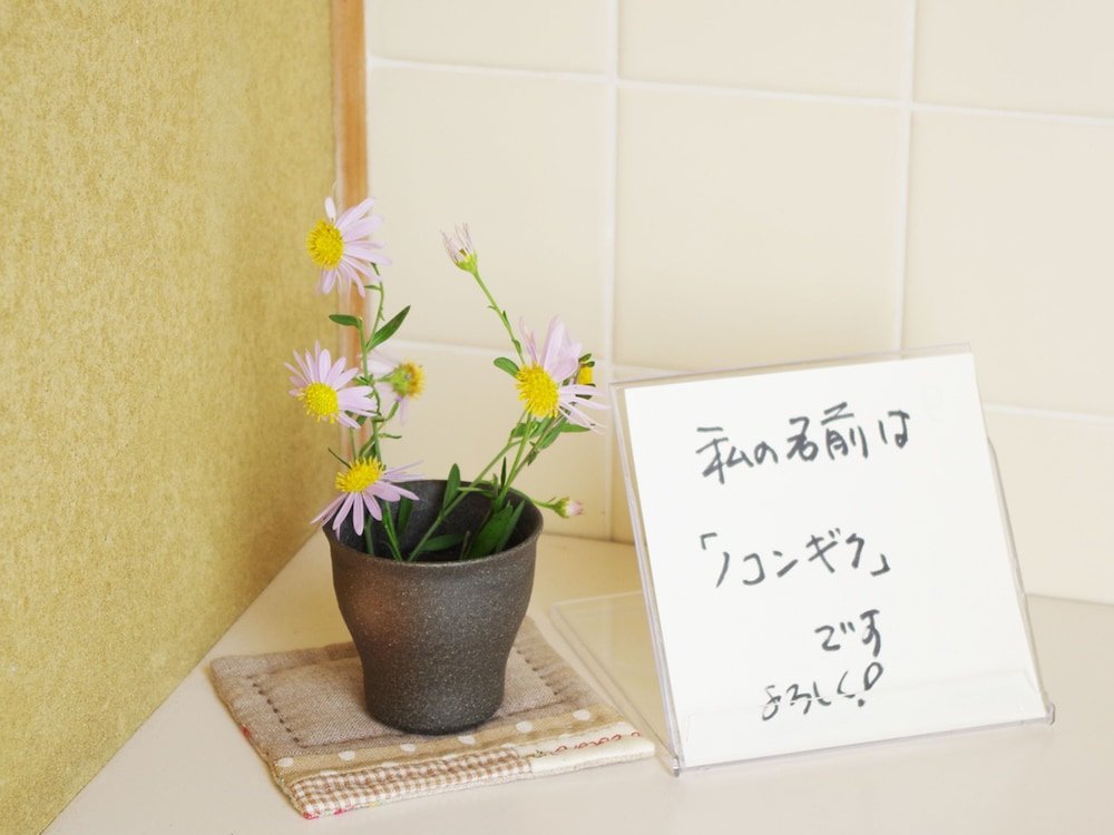 kami