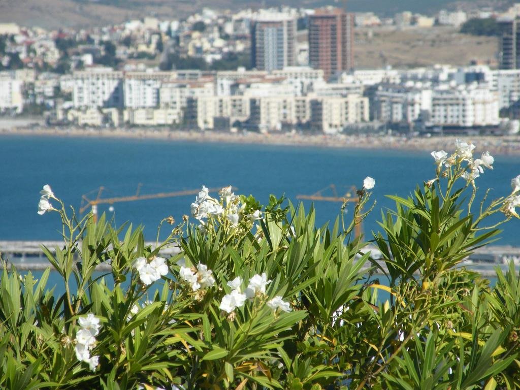 bab el fen