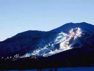 always niseko