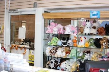 the white sands oceanfront resort and spa