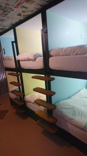 the backpack shack hostel