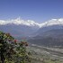 pokhara