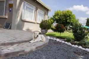 die kleipot guesthouse