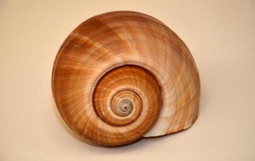 tierra del mar hotel adults only