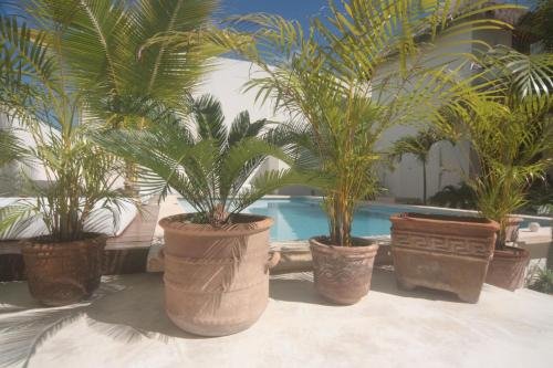 tierra del mar hotel adults only