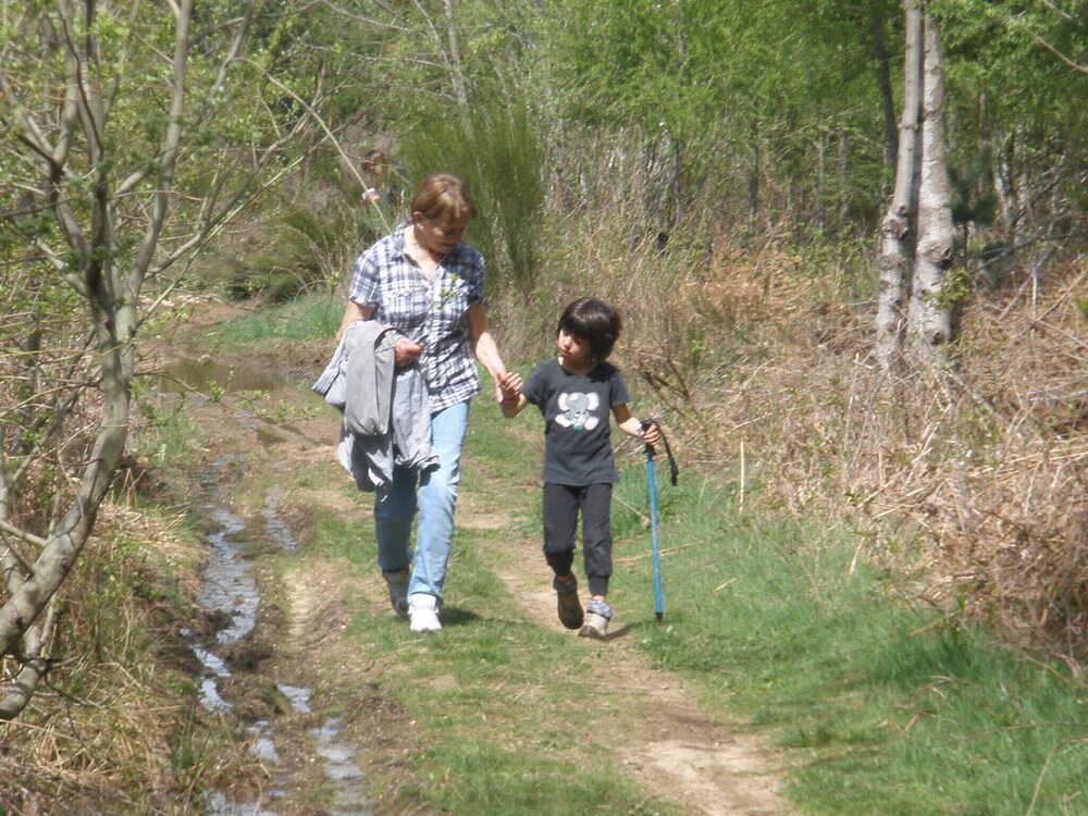 les roulottes de la ferme des chanaux