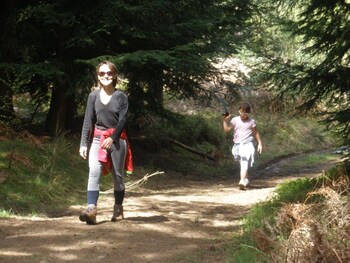 les roulottes de la ferme des chanaux