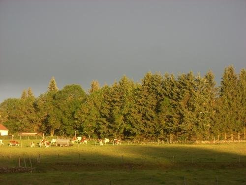 les roulottes de la ferme des chanaux