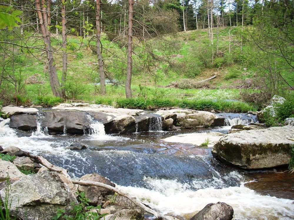les roulottes de la ferme des chanaux