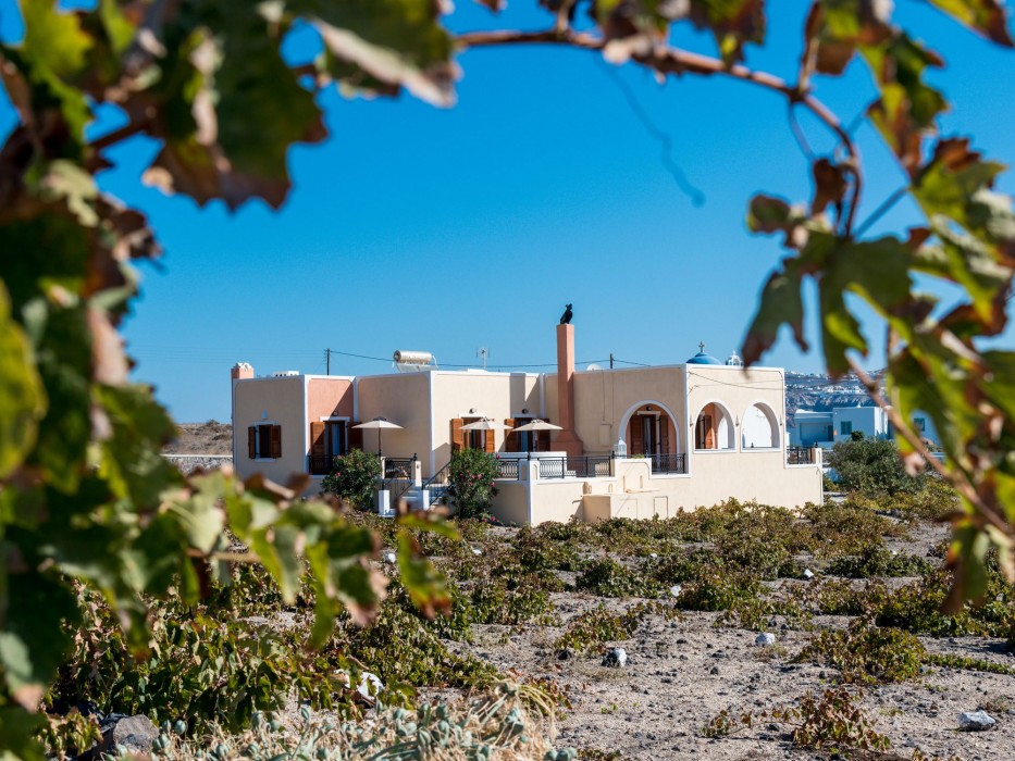 vineyard exclusive suites